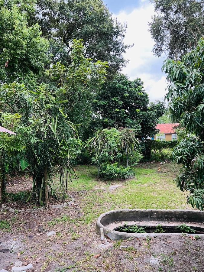 3Bdrm Fruit Tree Home Near Downtown Orlando Dış mekan fotoğraf