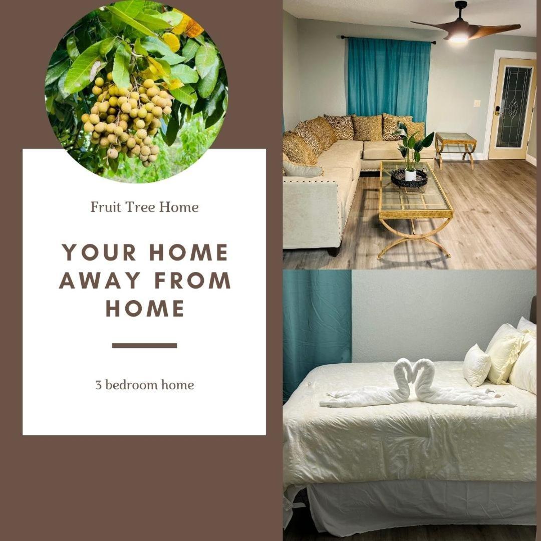 3Bdrm Fruit Tree Home Near Downtown Orlando Dış mekan fotoğraf